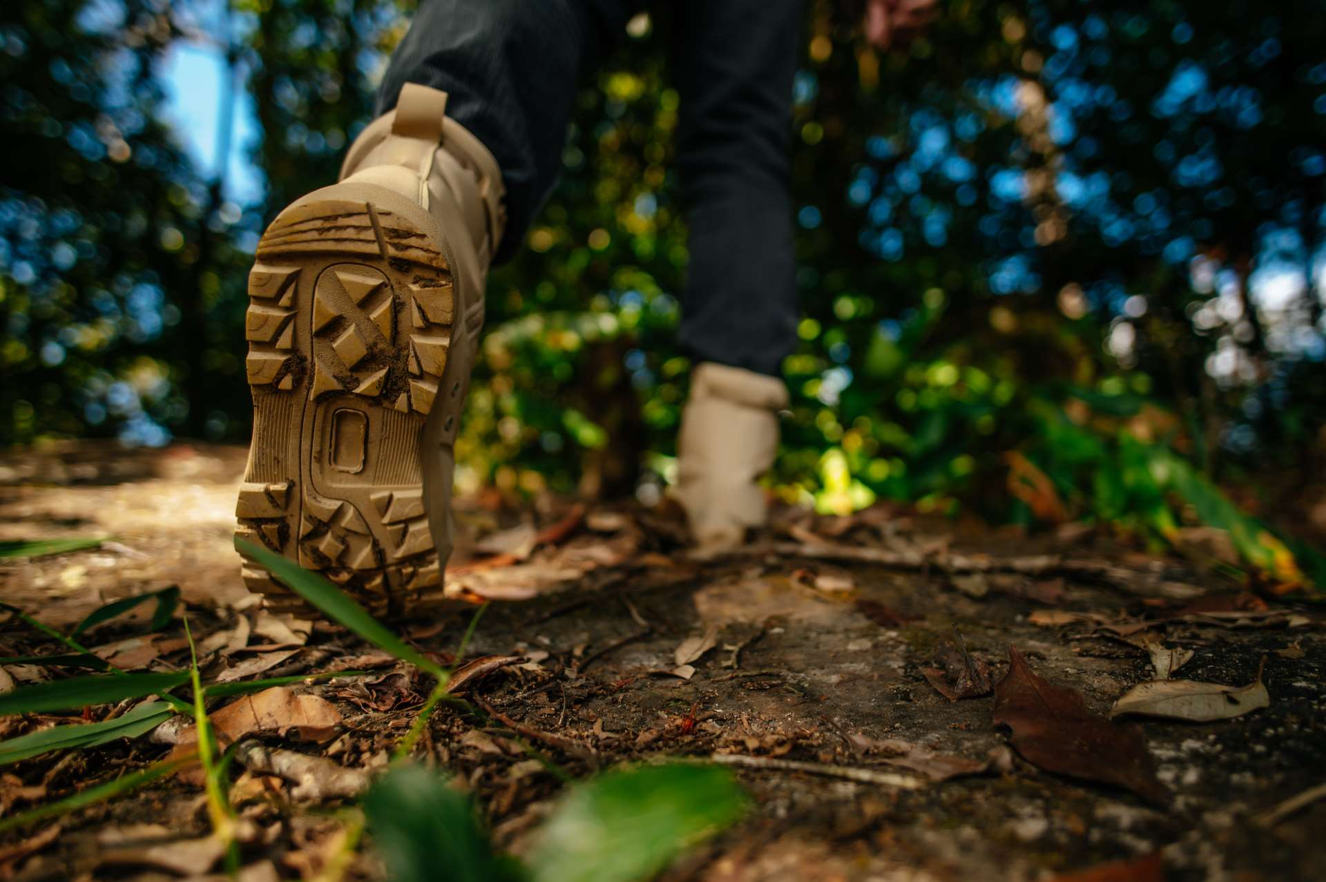close-up-shoes-hiker-walking-forest-trail-with-sunlight-copy-space